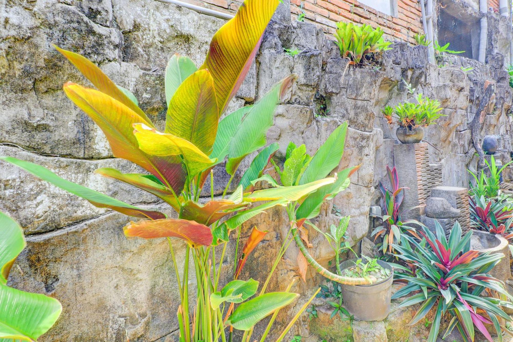 Hotel O Ubud Asri Homestay Near Monkey Forest Εξωτερικό φωτογραφία